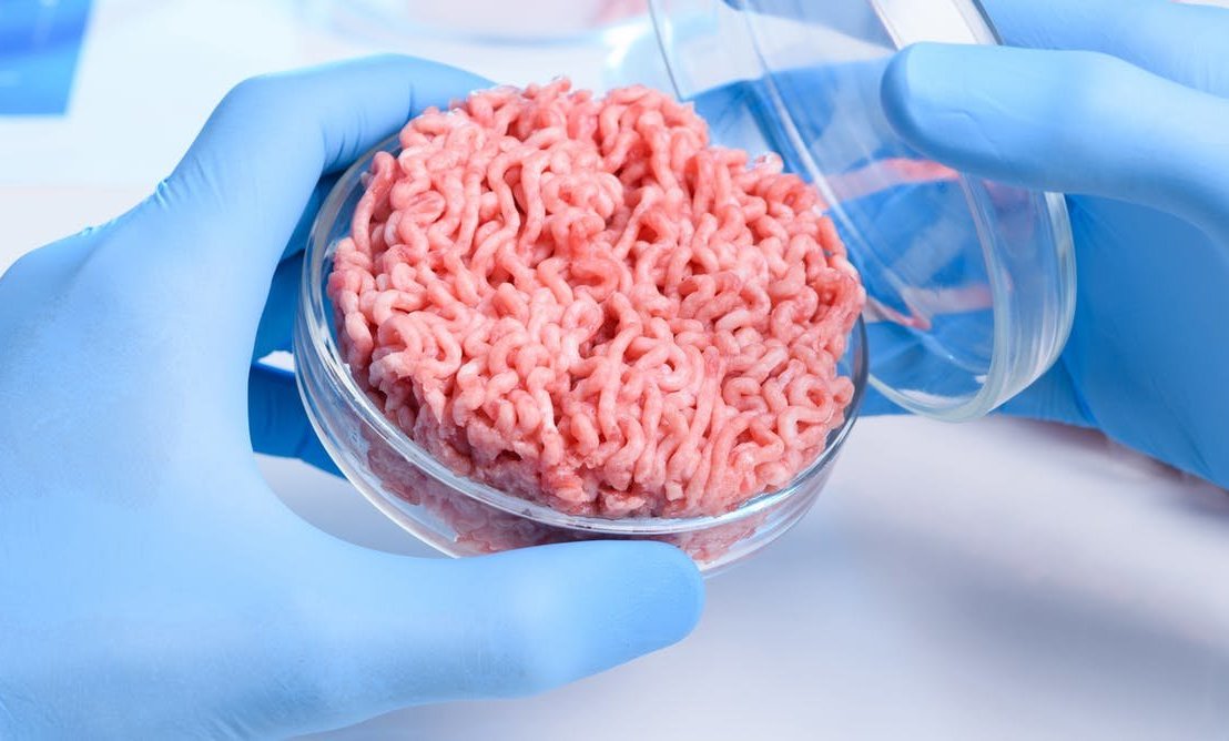 How Lab-Grown Meat Can Fight Climate Change